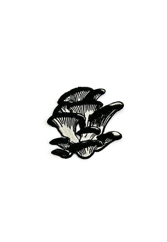 I Funghi - Parco Naturale Paneveggio Pale Di San Martino - Foto 2