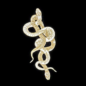 May include: A gold embroidered snake design patch. The snake is curled up in a spiral shape with its tail in its mouth.