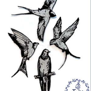 Swallows, bird patch Set of beautiful swallows 4p.