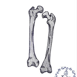 Op de afbeelding: Een paar grijze geborduurde botten, mogelijk een menselijk dijbeen, met een gedetailleerd ontwerp. De botten zijn gestikt met grijs garen en hebben een licht getextureerd uiterlijk.