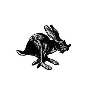 May include: Black and white illustration of a rabbit running. The rabbit is depicted in a stylized, almost cartoonish manner, with large ears and a long tail.