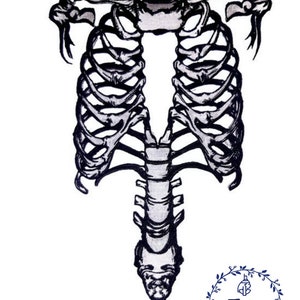 Puede incluir: Dise&ntilde;o bordado en blanco y negro de una caja tor&aacute;cica y columna vertebral humanas. El dise&ntilde;o es detallado e intrincado, con una representaci&oacute;n realista de los huesos.