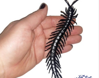 Centipede, insect embroidered iron on patch