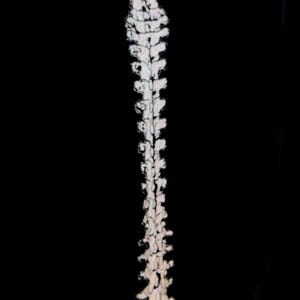 Remendo para costas da coluna vertebral que brilha no escuro remendo reflexivo para passar a ferro