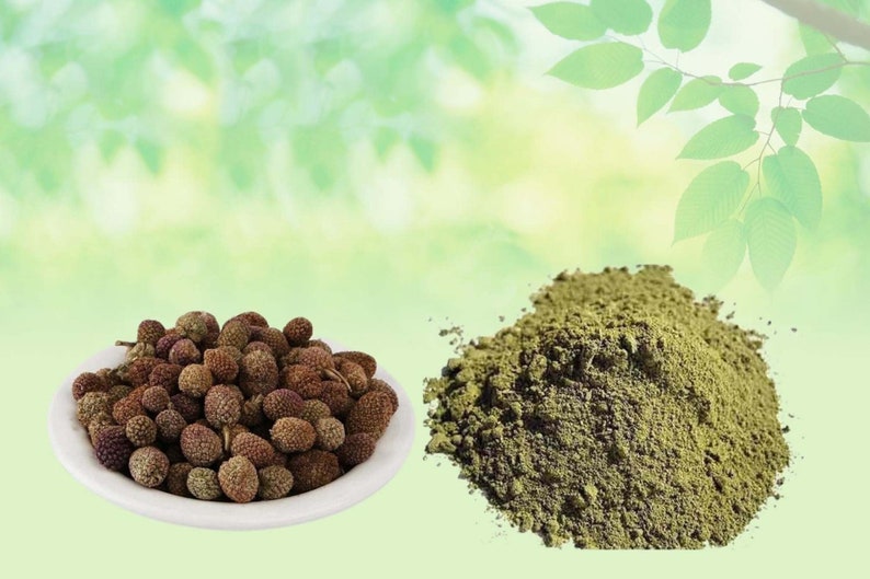 Gorakhmundi Powder-Sphaeranthus Indicus-Raw Herbs-Gorakh Mundi-jadi Booti-Single Herbs image 2