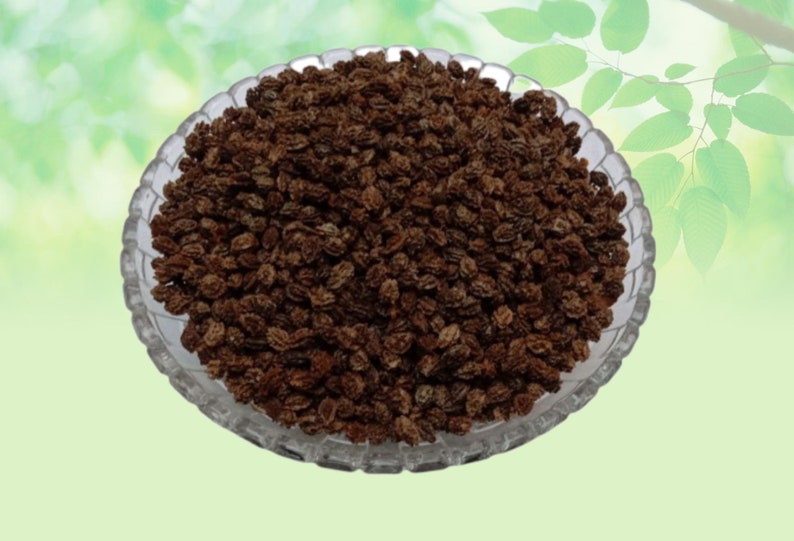 Dried Papaya Seedspapita Beejraw Herbsseeds Papayajadi Bootisingle