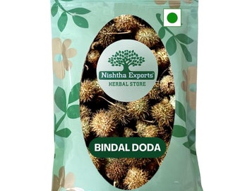 Bindaal Doda-Thorn Gourd-Raw Herbs-Bandal Phal-Single Herbs-Jadi Booti-Single Herbs