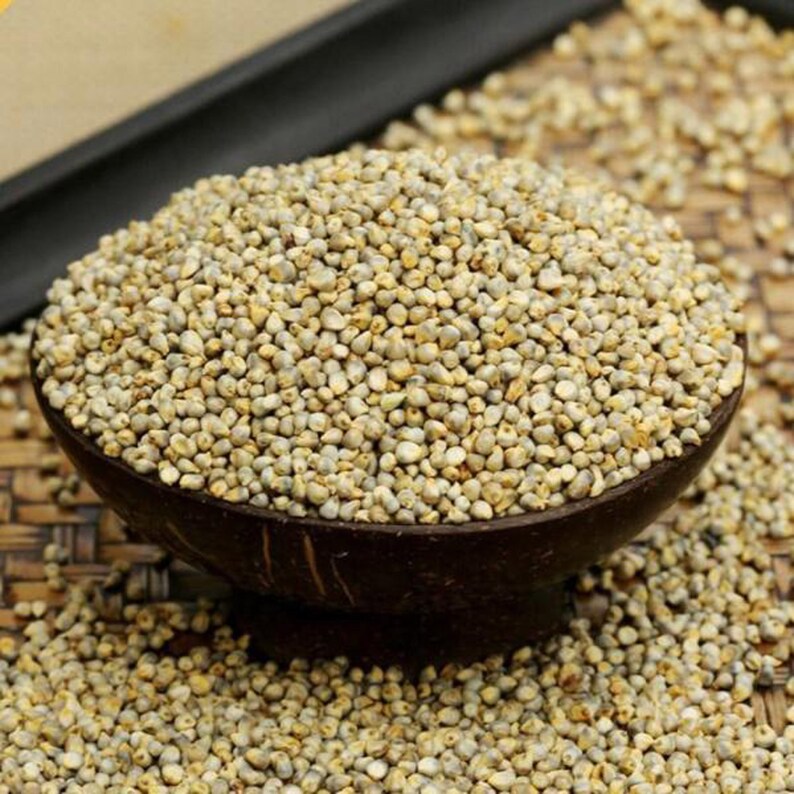Bajra Sabut pearl Millet Whole Nutrients & Fiber Delicious Etsy