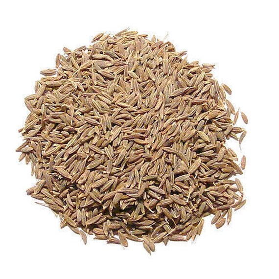 Spices Jeera Safed Jira White Cuminum Cyminum Cumin Free Etsy