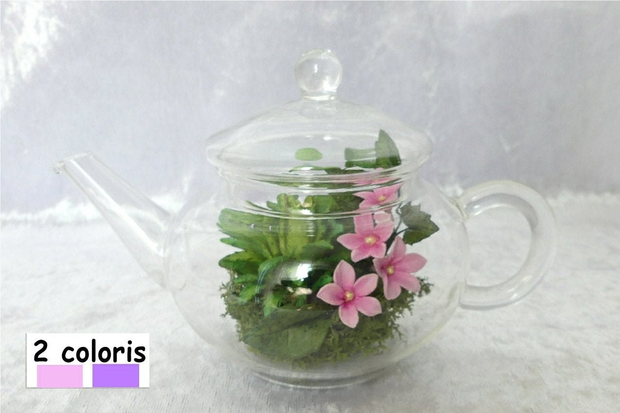 Terrarium Plantes Théière - Porcelaine Froide