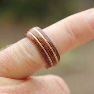 Rosewood and mahogany ring on copper ring