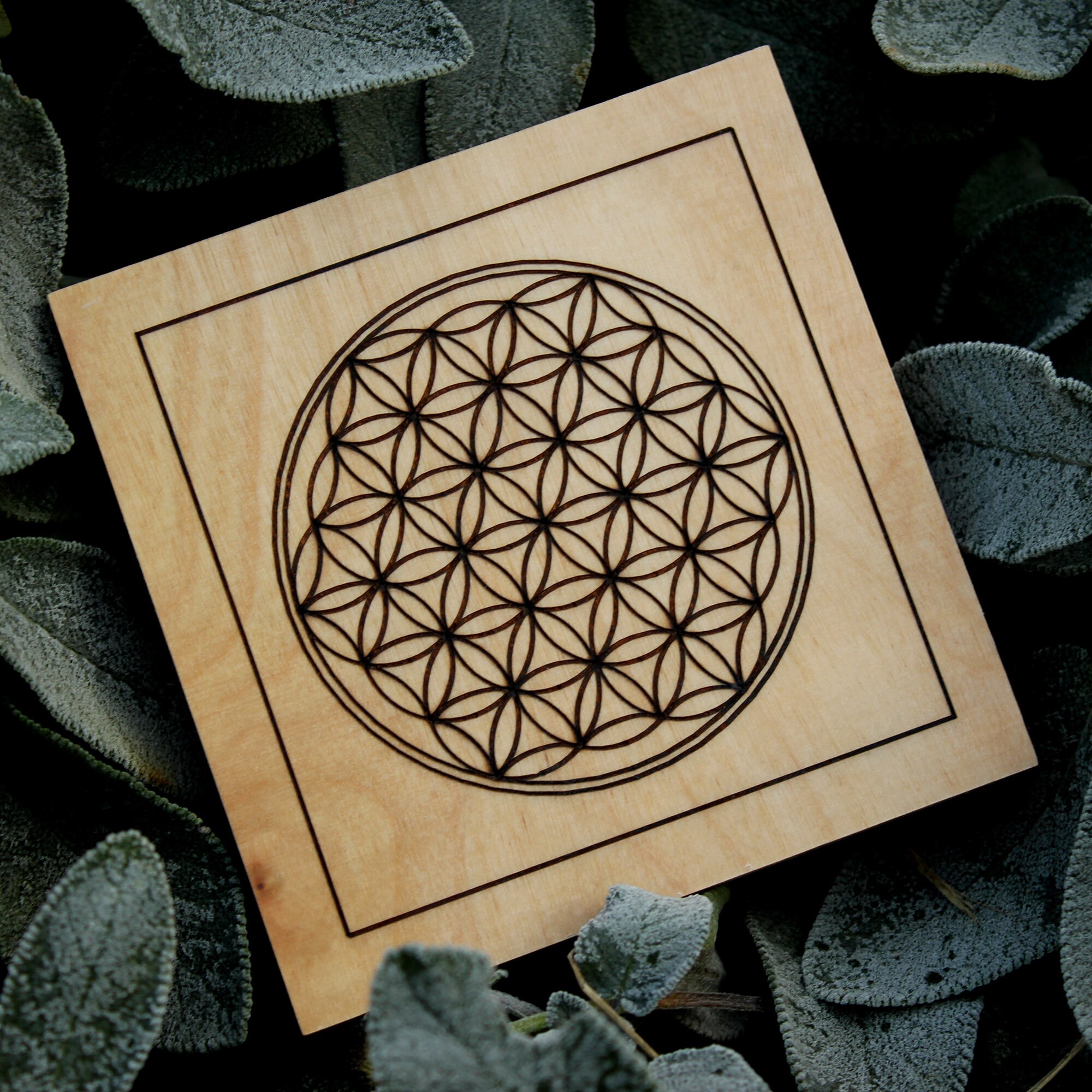 Fleur de Vie Gravé sur Bois
