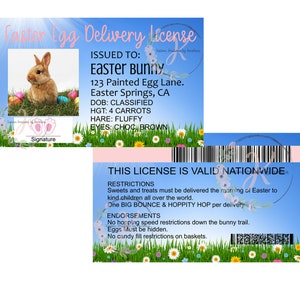 Lapin de Pâques Permis de conduire Rose