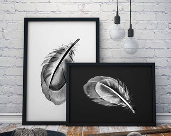 Stylish Feather Print A4, A3 & A3+