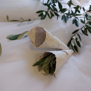 5 tazas de confeti de boda ecológico y único TOSS de hojas de olivo -strong-unique-eco-weddings