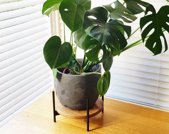 LITTLE BAILEY with a SHELF - Plant stand, Metal Plant Stand, Pot Plant Stand, Speaker Stand