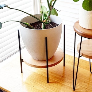 BAILEY with a SHELF Plant stand, Metal Plant Stand, Pot Plant Stand, Side Table image 1