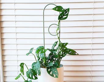 ZIGGY Plant Stake: Modern Steel Plant Trellis