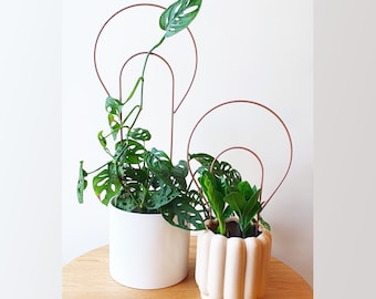RICKY BOBBY Plant Stake: Modern Steel Plant Trellis