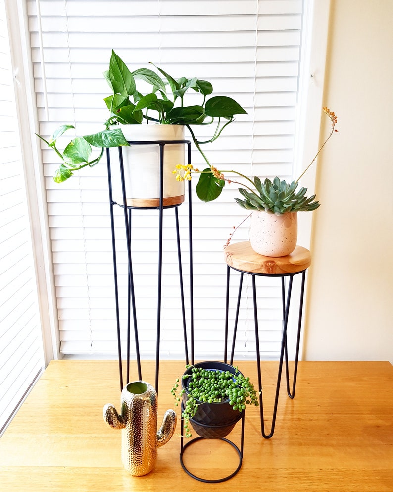TALL POPPY Hairpin Leg Plant Stand Hairpin Leg Plant Etsy
