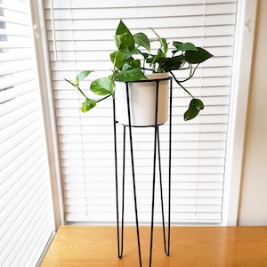 TALL POPPY - Hairpin Leg Plant Stand, Hairpin Leg, Plant Stand, Metal Plant Stand, Pot Stand, Hoop Plant Stand