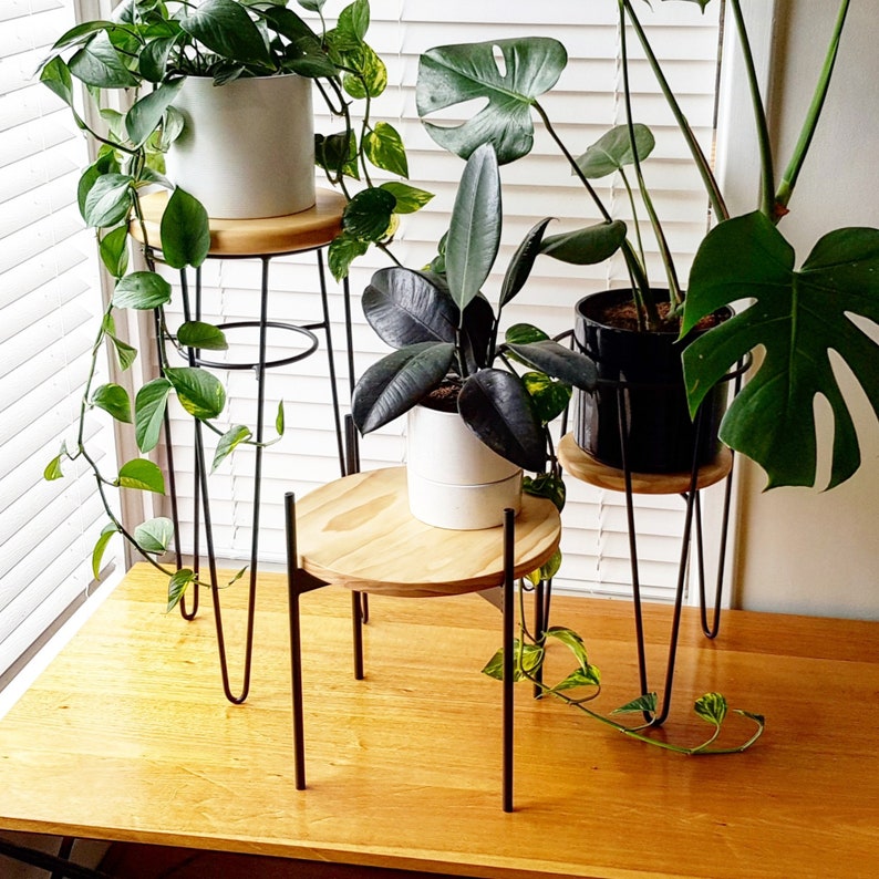 BAILEY with a SHELF Plant stand, Metal Plant Stand, Pot Plant Stand, Side Table image 6