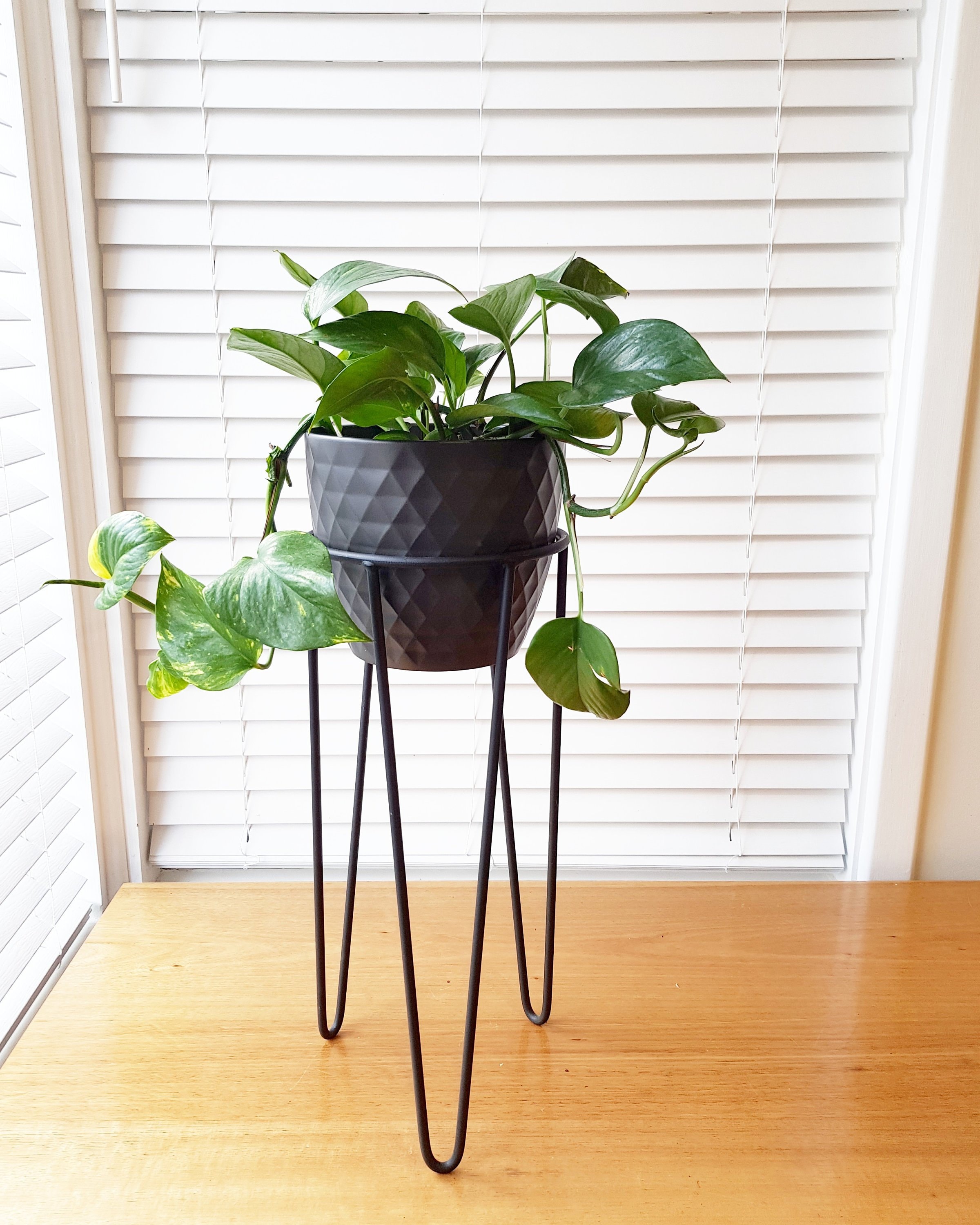 Hairpin plant stand discount