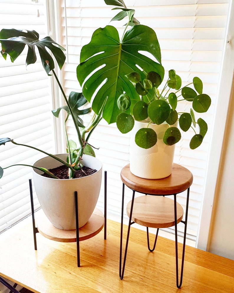 BAILEY with a SHELF Plant stand, Metal Plant Stand, Pot Plant Stand, Side Table image 1