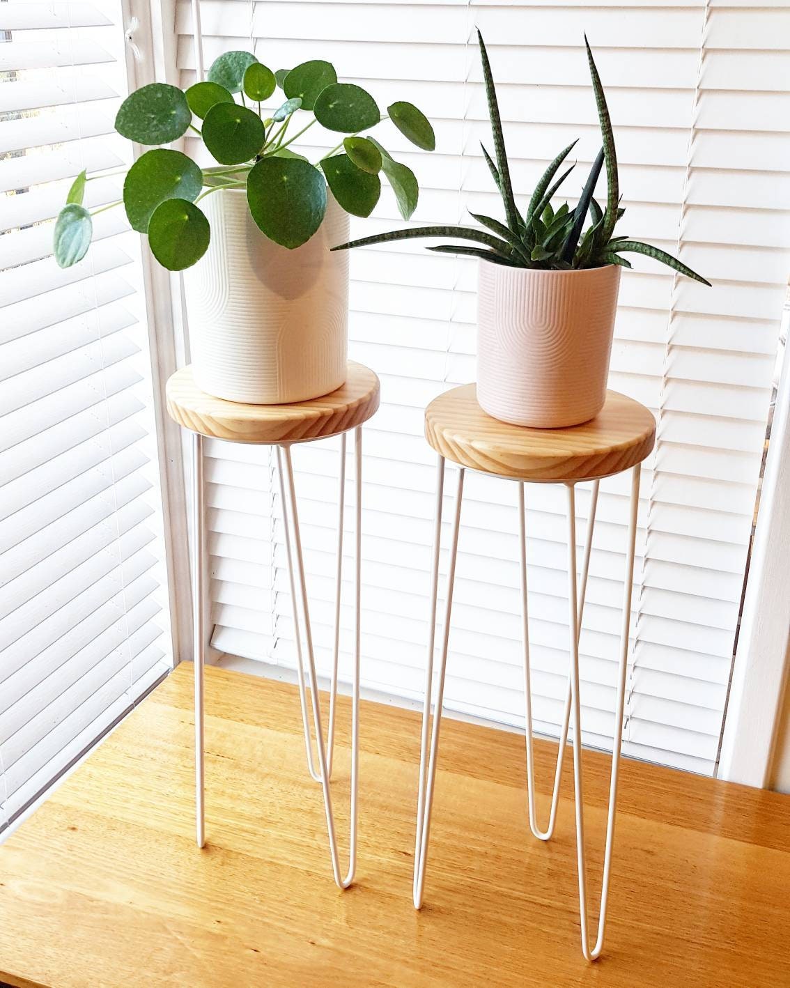 HARPER Hairpin Leg Plant Stand, Metal Plant Stand, Plant Stand