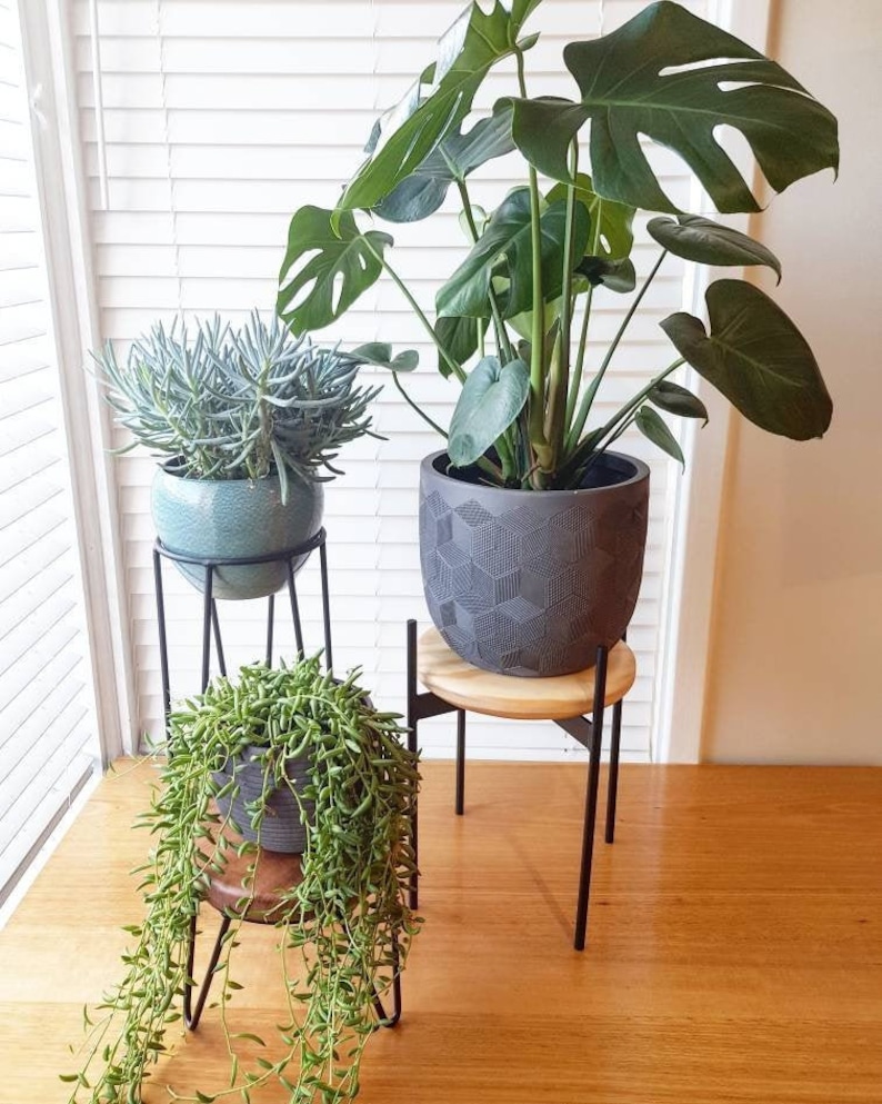 BAILEY with a SHELF Plant stand, Metal Plant Stand, Pot Plant Stand, Side Table image 2