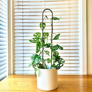 LANEY - Plant Stake, Plant Trellis, Plant Decor