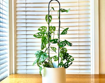 LANEY - Plant Stake, Plant Trellis, Plant Decor