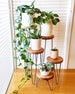 HARPER - Hairpin leg plant stand, metal plant stand, plant stand, speaker stand, side table, indoor plant stand, small table 