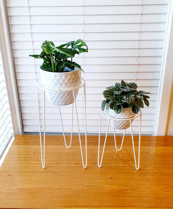 Hairpin 2024 leg stand