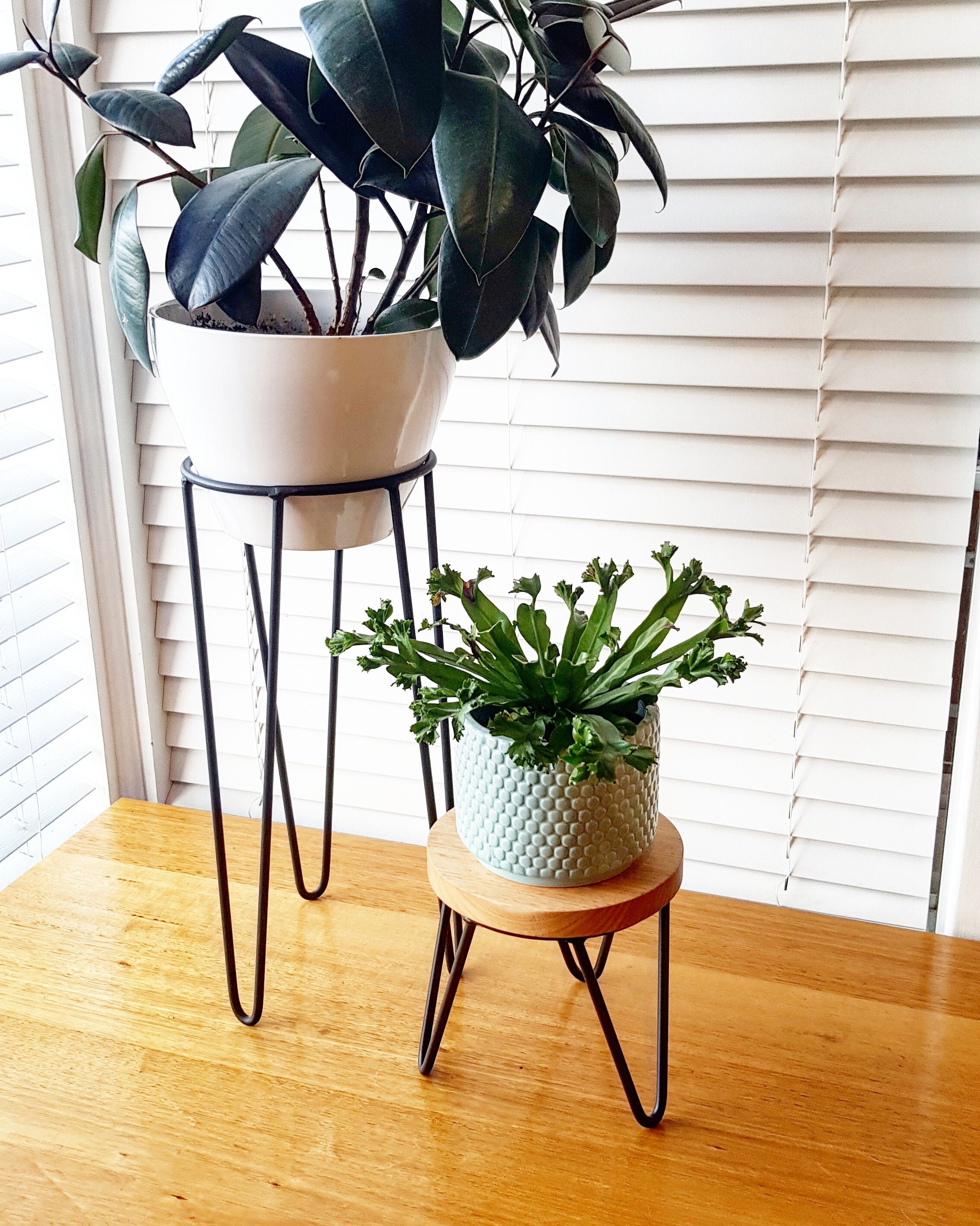 LITTLE HARPER Hairpin Leg Plant Stand Metal Plant Stand Etsy