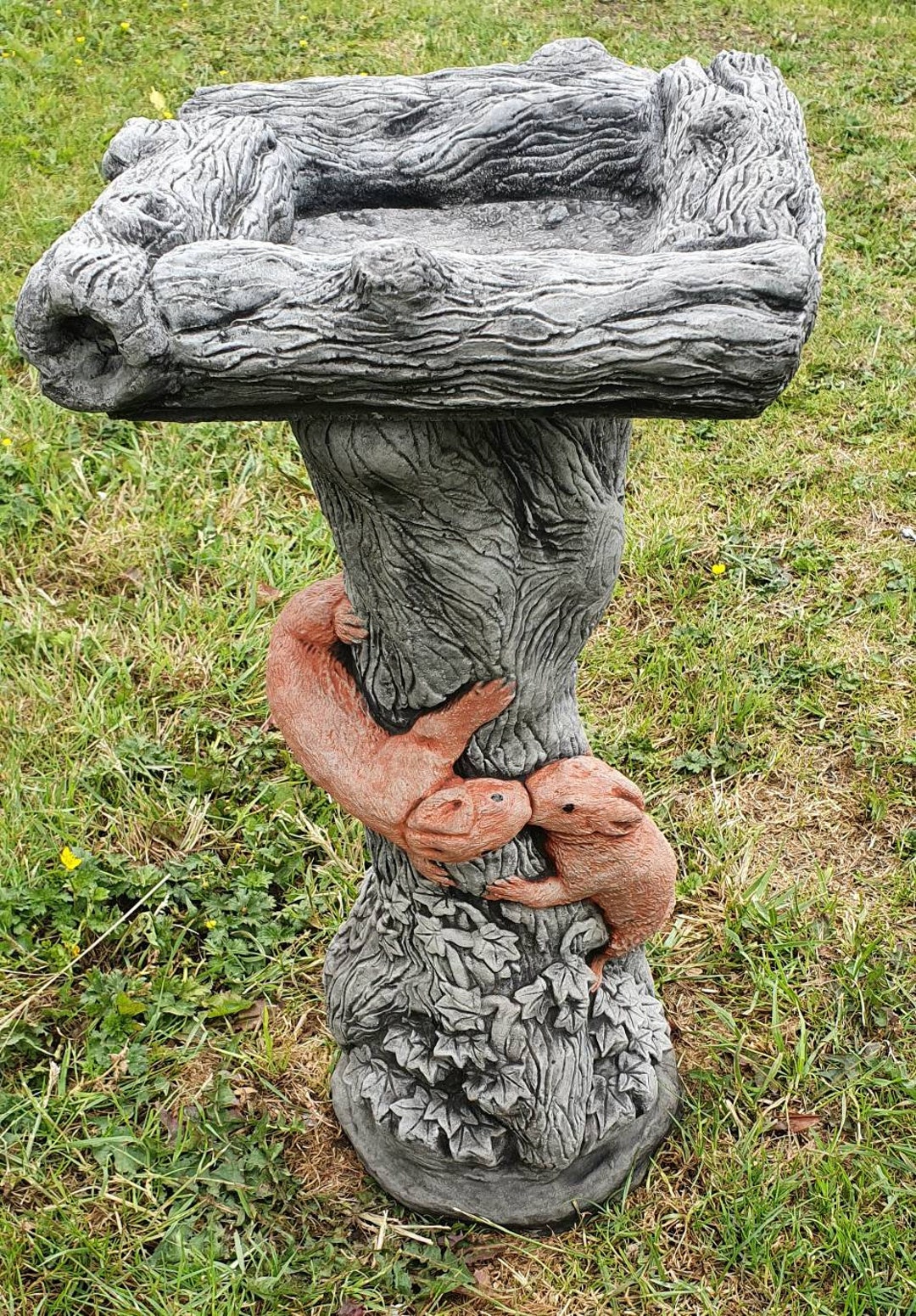 Beautiful SQUIRREL BIRD BATH Feeder Highly Detailed Stone Etsy UK