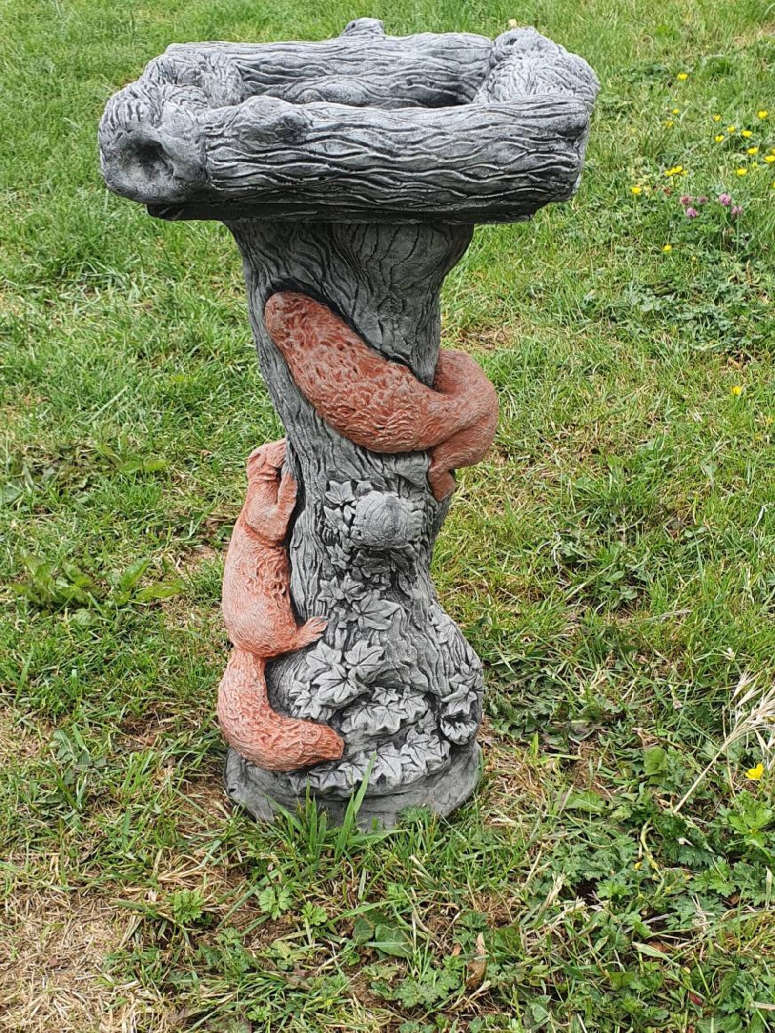 Beautiful SQUIRREL BIRD BATH Feeder Highly Detailed Stone Etsy UK