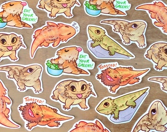 Bearded Dragons! sticker set gloss - Rankins dragon, agama