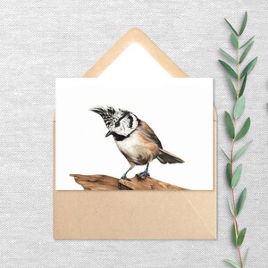 Pájaro carbonero crestado - Paquete de 10 o 20 tarjetas de felicitación - Tarjeta en blanco con sobre - Regalo de recuerdo 5x7 - Impresión de pintura original