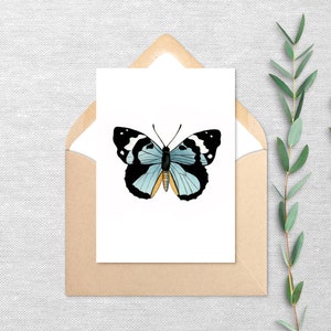 Farfalle verde acqua - Confezione da 10 o 20 biglietti di auguri - Biglietto vuoto con busta - Regalo ricordo 5x7 - Stampa del dipinto originale