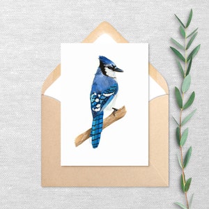 Geai bleu - lot de 10 ou 20 cartes de vœux - carte vierge avec enveloppe - cadeau souvenir 5 x 7 - impression de la peinture originale