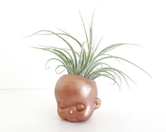 Copper effect concrete baby doll head air plant planter