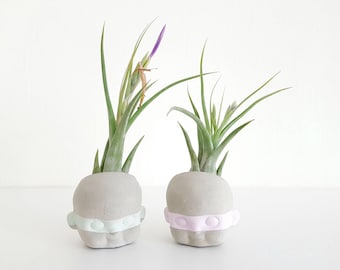 Doll Head Robbers air plant planter
