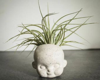 Plain Doll Face air plant planter