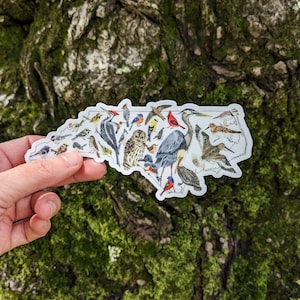 A large vinyl sticker depicts a watercolor painting of birds of North Carolina ranging from the Blue Ridge Mountains to the Outer Banks
