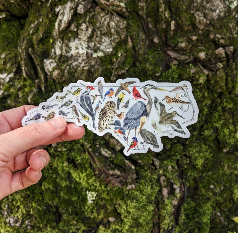 A large vinyl sticker depicts a watercolor painting of birds of North Carolina ranging from the Blue Ridge Mountains to the Outer Banks