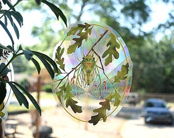 Cicada suncatcher window cling // prism • window decal • dopamine decor • rainbow maker • nature lover gift •  outdoorsy sticker