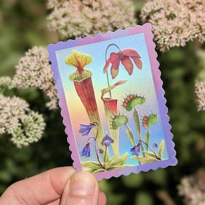 May include: A rectangular sticker with a scalloped edge featuring a holographic finish. The design displays a botanical illustration of various carnivorous plants, including pitcher plants and Venus flytraps, alongside small purple bell-shaped flowers.