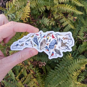 The small 4.5 inch birds of NC sticker