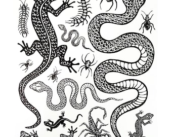 May include: A sheet of black and white temporary tattoos featuring various reptiles and insects, including lizards, snakes, a scorpion, spiders, and centipedes. The text ONYX01 and J'IRIS Studio is printed in the bottom corners of the white sheet.
